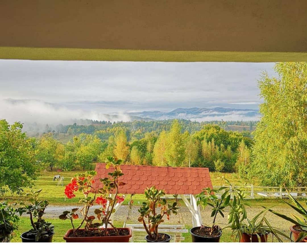 Pensiunea Gradina Ascunsa Bughea de Jos Exterior foto